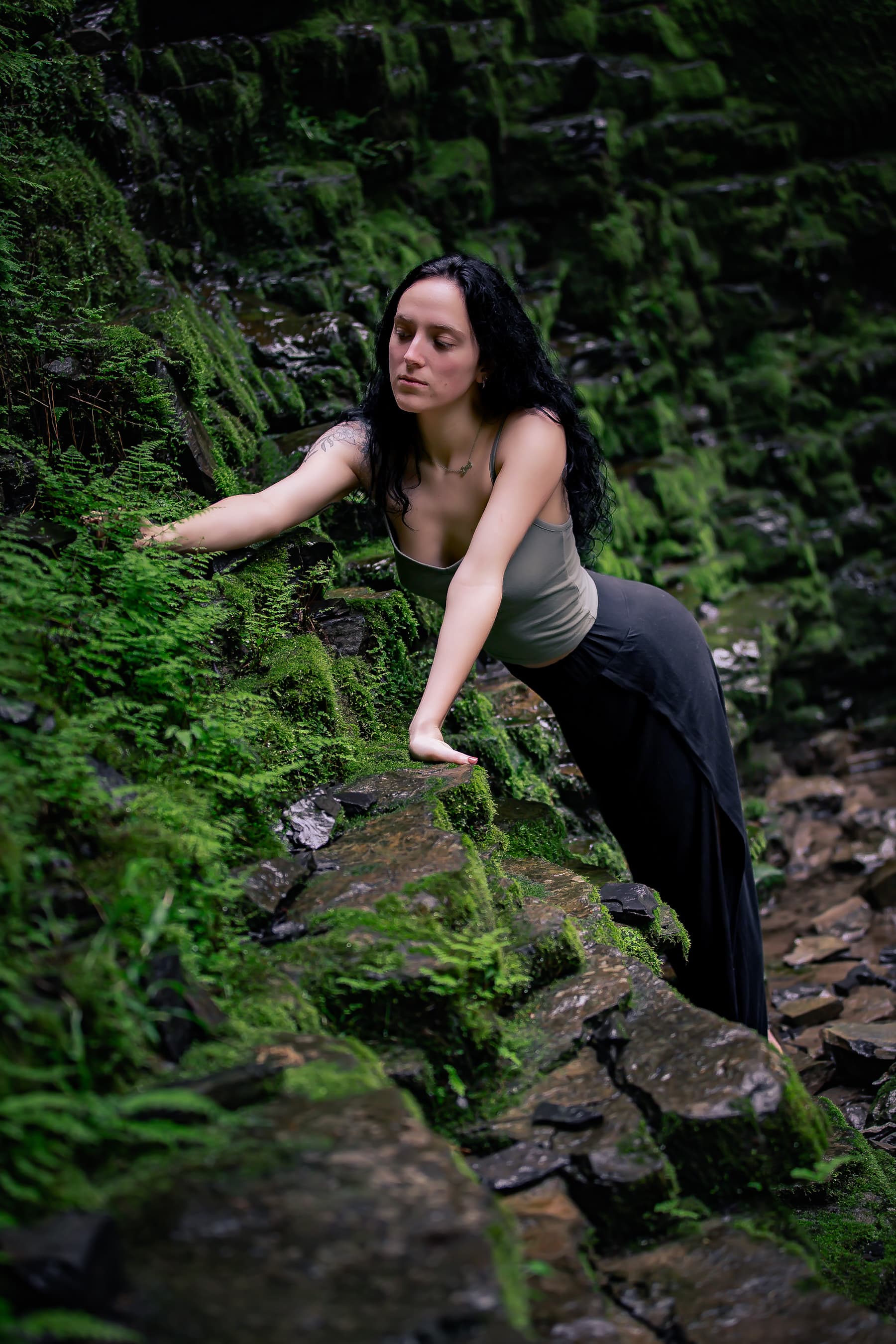 Soft moss growing on forest floor